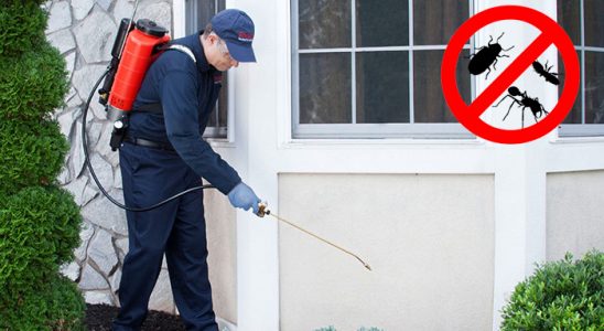 Birecik Kemirgen İlaçlama böcek ilaçlama ve haşere kontrolü — ilaclama-tr.com